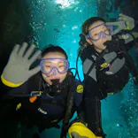 武藤潜水に投稿された画像（2024/4/2）