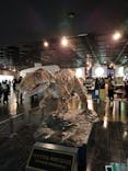 福井県立恐竜博物館に投稿された画像（2024/4/2）