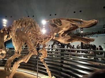 福井県立恐竜博物館に投稿された画像（2024/4/2）