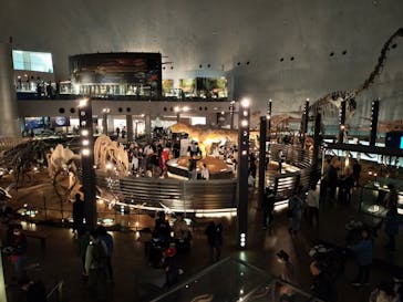 福井県立恐竜博物館に投稿された画像（2024/4/2）