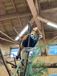 伊豆シャボテン動物公園に投稿された画像（2024/4/2）