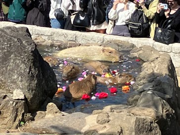 伊豆シャボテン動物公園に投稿された画像（2024/4/2）