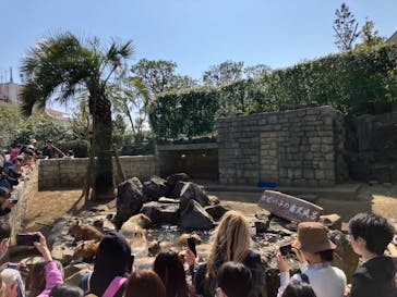 伊豆シャボテン動物公園に投稿された画像（2024/4/2）
