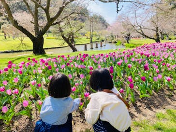浜名湖花博2024に投稿された画像（2024/4/2）