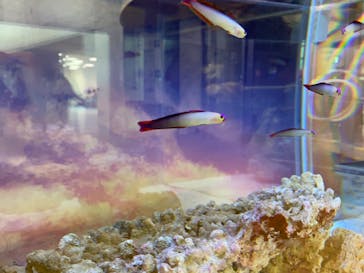 名古屋港水族館に投稿された画像（2024/4/2）