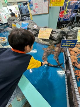 竹島水族館に投稿された画像（2024/4/2）