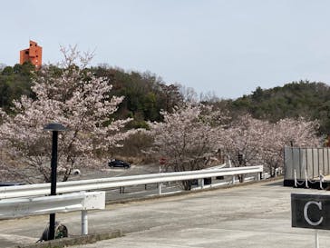 NESTA RESORT KOBE（ネスタリゾート神戸）に投稿された画像（2024/4/2）