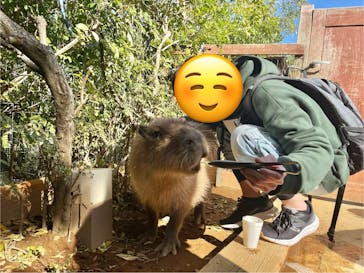 横浜・八景島シーパラダイスに投稿された画像（2024/4/2）