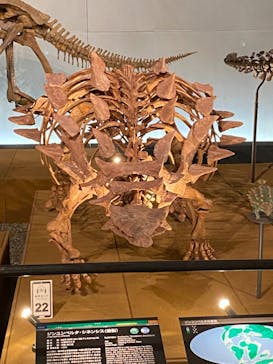 福井県立恐竜博物館に投稿された画像（2024/4/2）