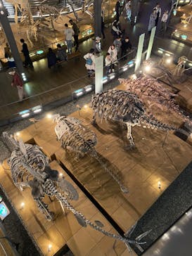 福井県立恐竜博物館に投稿された画像（2024/4/2）