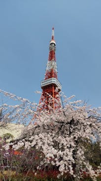 東京タワーに投稿された画像（2024/4/2）