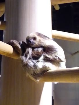 DMMかりゆし水族館に投稿された画像（2024/4/2）