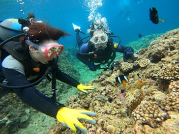 武藤潜水に投稿された画像（2024/4/2）