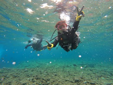 武藤潜水に投稿された画像（2024/4/2）