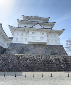 小田原城に投稿された画像（2024/4/2）