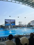 名古屋港水族館に投稿された画像（2024/4/2）