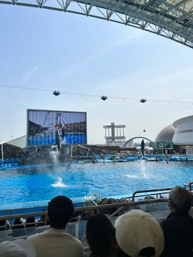 名古屋港水族館に投稿された画像（2024/4/2）
