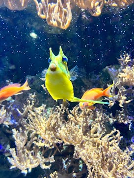 名古屋港水族館に投稿された画像（2024/4/2）