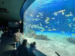 サンシャイン水族館に投稿された画像（2024/4/2）