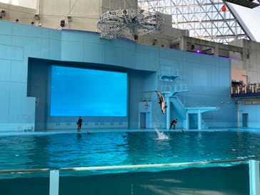 横浜・八景島シーパラダイスに投稿された画像（2024/4/2）