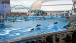 名古屋港水族館に投稿された画像（2024/4/2）