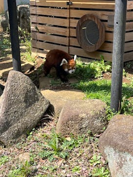 千葉市動物公園に投稿された画像（2024/4/2）