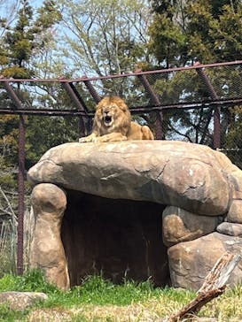 千葉市動物公園に投稿された画像（2024/4/2）