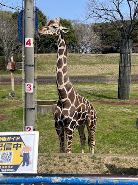 千葉市動物公園に投稿された画像（2024/4/2）