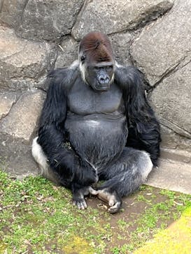 千葉市動物公園に投稿された画像（2024/4/2）