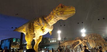 福井県立恐竜博物館に投稿された画像（2024/4/2）