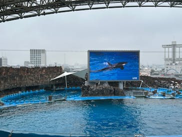 名古屋港水族館に投稿された画像（2024/4/2）