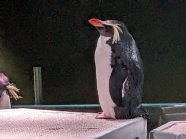 AOAO SAPPOROに投稿された画像（2024/4/2）