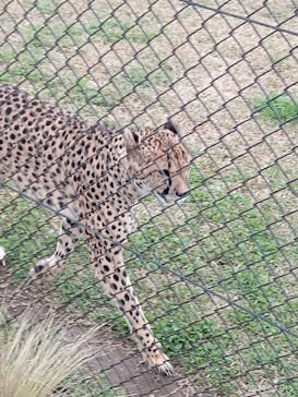 千葉市動物公園に投稿された画像（2024/4/2）