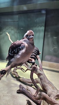 カワスイ 川崎⽔族館に投稿された画像（2024/4/2）