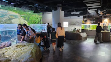 カワスイ 川崎⽔族館に投稿された画像（2024/4/2）