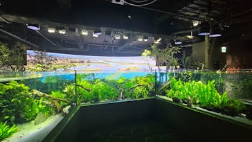 カワスイ 川崎⽔族館に投稿された画像（2024/4/2）