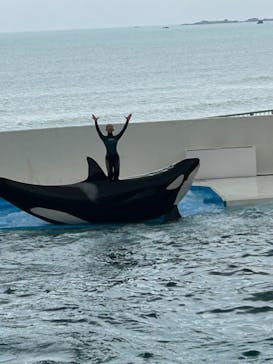 鴨川シーワールドに投稿された画像（2024/4/1）