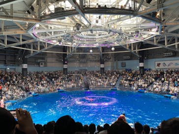 マクセル アクアパーク品川に投稿された画像（2024/4/2）