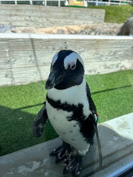 マリンワールド海の中道に投稿された画像（2024/4/2）