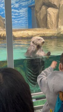 マリンワールド海の中道に投稿された画像（2024/4/2）