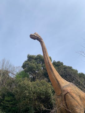 ディノアドベンチャー名古屋に投稿された画像（2024/4/2）