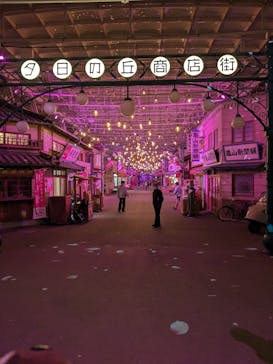 西武園ゆうえんちに投稿された画像（2024/4/2）