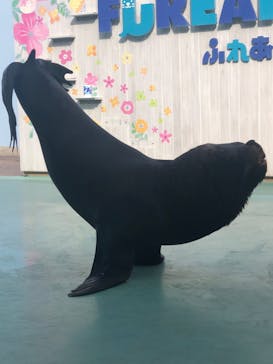 横浜・八景島シーパラダイスに投稿された画像（2024/4/2）