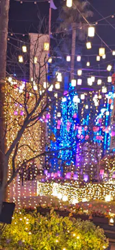 ひらかたパークに投稿された画像（2024/4/2）