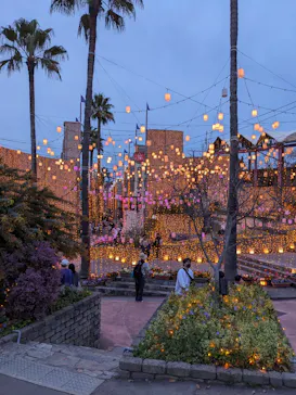 ひらかたパークに投稿された画像（2024/4/2）