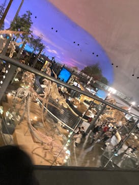 福井県立恐竜博物館に投稿された画像（2024/4/2）