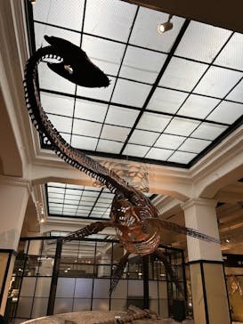 国立科学博物館に投稿された画像（2024/4/2）