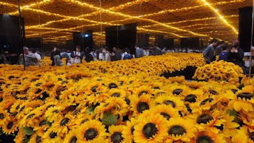 ゴッホ・アライブに投稿された画像（2024/4/2）