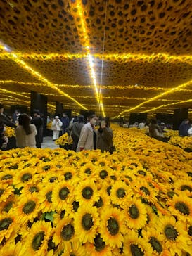 ゴッホ・アライブに投稿された画像（2024/4/2）