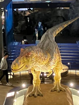 福井県立恐竜博物館に投稿された画像（2024/4/2）